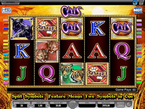 slots machines gratis cats - slots gratis para jogar